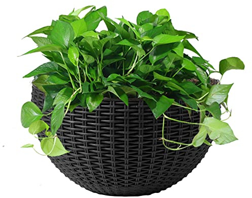 Pot de fleurs mural à suspendre – Pot de fleurs mural demi-rond | Pot de fleurs en rotin de style européen semi-rond, support de plante auto-arrosant pour balcon, clôture, intérieur et extérieur