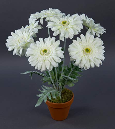 Seidenblumen Roß Gerbera 45cm weiß im Topf LM Kunstpflanzen Kunstblumen künstliche Pflanzen Blumen
