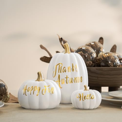 DN DECONATION Deko Kürbis Herbst – Weiß Kürbisse mit Goldenen Schriftzügen | 3er Set – mit Schriftzügen & Stielen aus Kunstharz – Herbstdeko Kürbis für Tischdeko, Halloween & Erntedank Dekoration