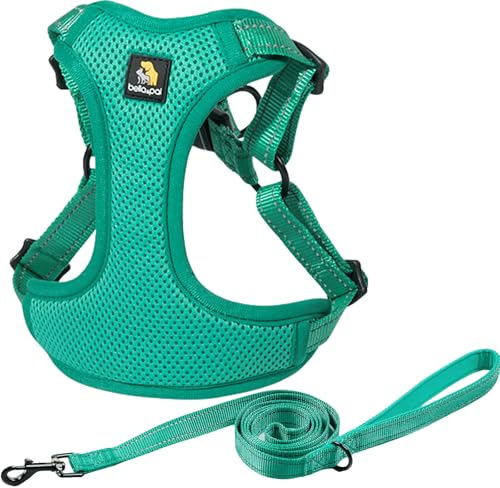 BELLA & PAL Hundegeschirr und Leine Set, Step-in Design mit atmungsaktivem Air-Mesh, reflektierenden Streifen, verstellbar für XS/kleine/mittelgroße Hunde, sicherer Schnallenverschluss
