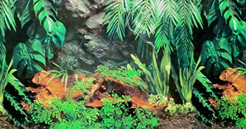Dohse Aquaristik Rückwandfolie 120 cm x 60 cm Terrarien Aquarien Rückwand Hintergrund Dekoration