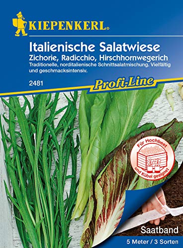 Italienische Salatwiese Zichorie, Radicchio, Hirschhornwegerich, Saatband