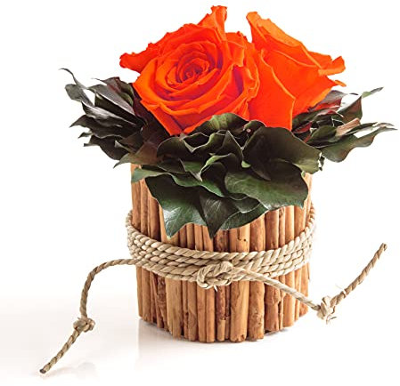 Rosenbox rund 3 echte infinity Rosen Orange in Vase aus Zimtstangen lange haltbar 3 Jahre (Orange, 3 Rosen)