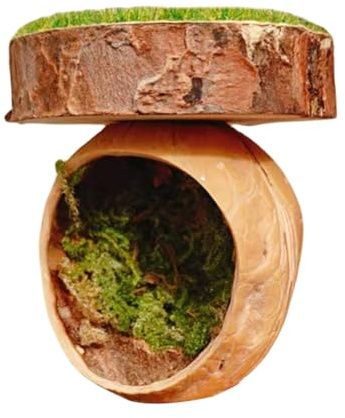 Qutalmi Dekoration Für Springspinnen,Springspinnen Terrarium Zubehör | Handgefertigter Magnetischer Unterschlupf Für Reptilien Vogelspinnen Gottesanbeterin Terrarium