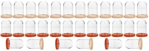 HOMSFOU 30 Stück Mini-Glasglocke Mit Konservierten Blumen Für Immer Kuppel Glasvitrine Glaskuppel Glasglocke Glaskuppel Rosen Pflanzen Glaskuppeln Zum Präsentieren Von Holzblumen