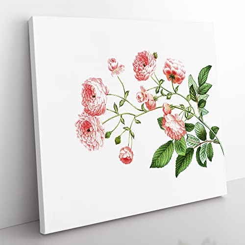 Rambler Roses by Pierre Joseph Redoute Vintage Canvas Wall Art Print Ready to Hang, Framed Picture for Living Room Bedroom Home Office Décor, 35x35 cm (14x14 Inch)