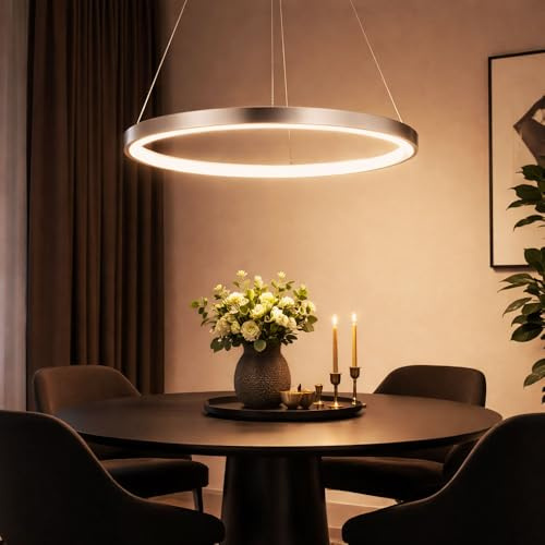 Pendelleuchte Ring silber Hängeleuchte rund LED Lampen Wohnzimmer hängend Modern, aus Metall in nickel-matt opal, 1x LED 19W 900Lm warmweiß, DxH 38,5x120 cm