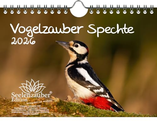 Fågelmagi spett DIN A5 kalender för 2026 fågel – själsmagi