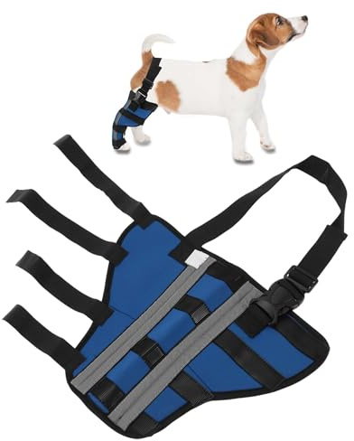 CAPASTEC Soporte para La Pata Trasera Derecha De Perro Vendajes Articulares Transpirables Y Rodilleras para La Recuperación De Patas De Perro Ens De Mascotas XS Azul