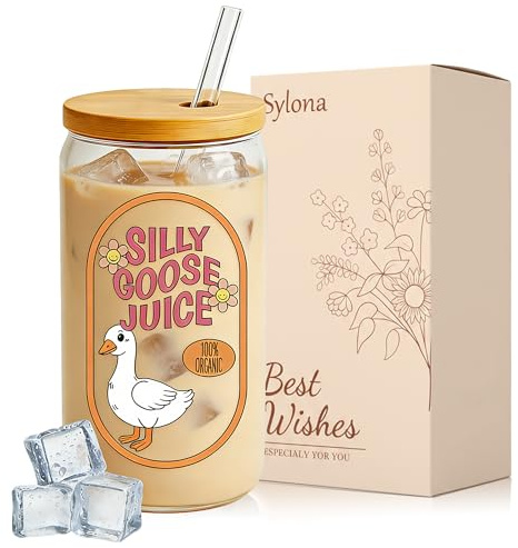 Sylona Gifts for Women - Birthday Gifts for Women, Friend Gift, Silly Goose Juice Glasses, Glass Cups with Straw and Lid, Thanks Gift for Womens, Sister, Bestie, Best Friend