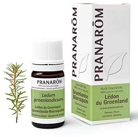 PRANAROM Aceite Esencial Té de Labrador 5 ml – Digestivo y Bienestar Puro | 100% puro y natural. Ledum groenlandicum, apoyo digestivo y bienestar en aromaterapia.