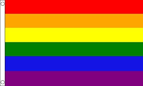 Flagtex Regenbogen-Flagge, 152 x 91 cm