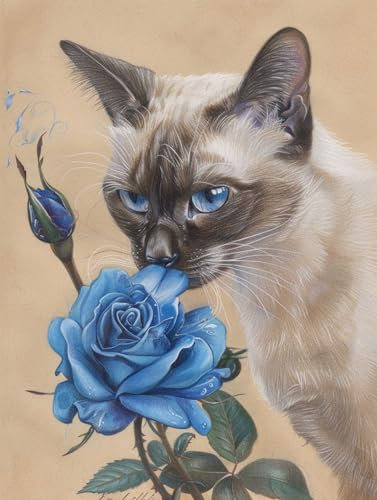 AMBATTERY Handarbeit Set Für Erwachsene Siamesische Katze Und Rosen，Großer Knüpfteppich，Vorgedrucktes Muster，Leinwandteppich，Stickerei，Basteln Für Erwachsene，Kunsthandwerk，DIY-Teppich 31x45in