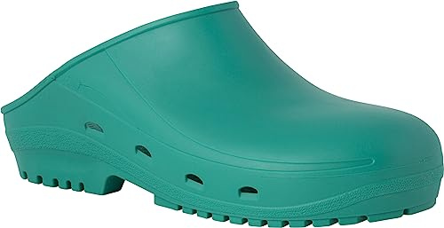 REPOSA Easy Sabots infermière, Chaussures hygiéniques Type de Sabot, polymère Naturel Antistatique, sans Latex, Confortable, léger, Trous latéraux, Semelle SRC Anatomique (40, Vert)