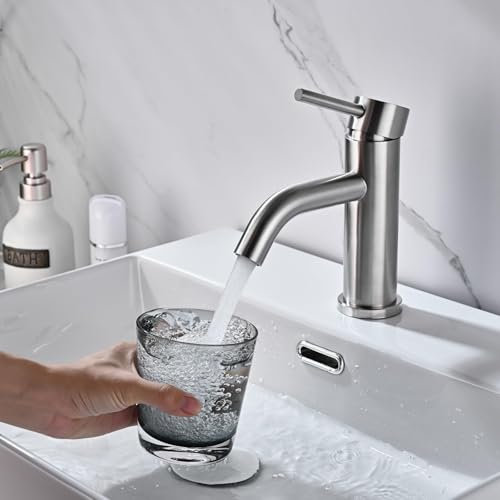 Miscelatore per Lavabo, DETBOM Rubinetto per Lavabo Caldo e Freddo Regolabile, Rubinetto per Bagno Monocomando, Rubinetto in Acciaio Inossidabile, Aeratore Rimovibile, Senza Piombo, Argento