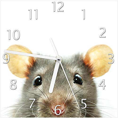Wallario Design-Wanduhr Maus am Tellerrand aus Glas, Motiv-Uhr Größe 20 x 20 cm, weiße Zeiger