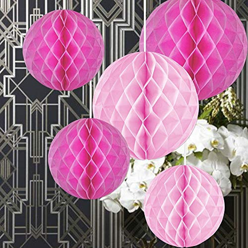 EinsSein 5X Boules en nid d'abeille Supreme Mix (2X 30cm Rose, Rose - 3X 25cm Rose, Rose, Rose, Rose) Boule Papier Boules de Rose Banderole Pompoms Pom poms Porte clefs Decoration Fleurs Anniversaire