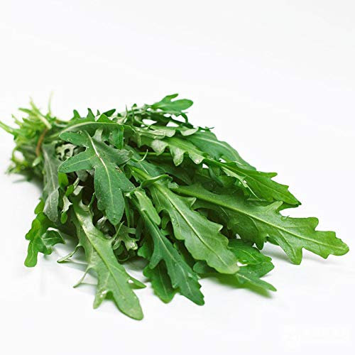 HeartMove 200 Kapseln Hausgarten Rucola Erbstück Samen