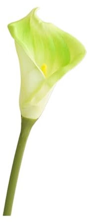 10 Stück große, realistische Calla-Lilien, künstliche Blumen, fühlen sich echt an, Calla, Hochzeitsdekoration, Kunstblumen, Brautstrauß, Zuhause, Party, Blumen (Farbe: Hellgrün)