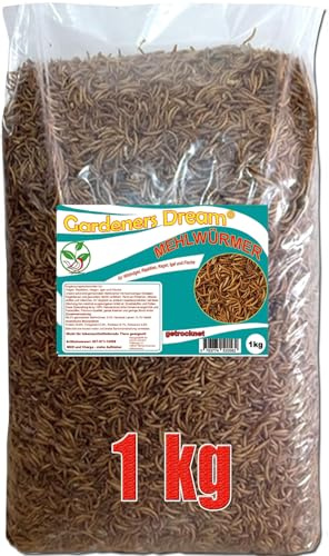 Gardeners Dream getrocknete Mehlwürmer in 1kg Abpackung, Protein- und fettreich, verfeinert und gesiebt, für Fische, Nager, Vögel, Reptilien, auch Koifutter oder Igelfutter