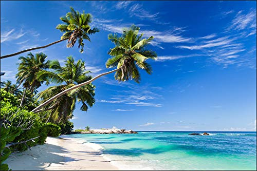 Muralo Fototapete Vlies Strand, Ozean, Himmel, Palmen, XXL - 180x270 cm | Fantasievolle Tapete, hochauflösender Druck - ideal für Wohnzimmer und Schlafzimmer, Urlaubsfeeling für jeden Tag