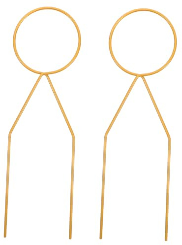 BESTonZON 2pezzi Traliccio per Piante in Metallo Supporto Geometrico per Vasi di Fiori Struttura in Ferro per Rampicanti da Giardino Compatibile Piante e Fioriere