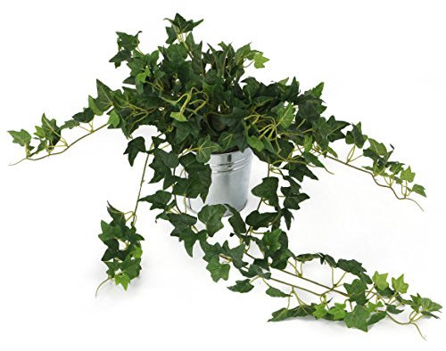 Closer2Nature Artificial 57cm English Ivy Climbing Plant Green, Fake Ivy Vine Decoration Plants for Indoors in Home, Kitchen, Lounge and Office or Outdoor Foliage in Garden - Pot Not Included