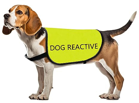 Reaktive Hundejacke Weste Hund Reaktive Weste Hund Spaziergang Slogan Warnweste (Hund reaktiv-mittel)