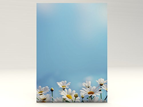 Blumen Briefpapier Gänseblümchen, 50 Blatt DIN A4, 90g/qm, tolles Motivpapier für private und geschäftliche Briefe, Einladungen, Speisekarten, Werbe-Flyer, kleine Plakate. Für Laserdrucker, Tintenstrahldrucker, Kopierer oder zum Beschreiben von Hand