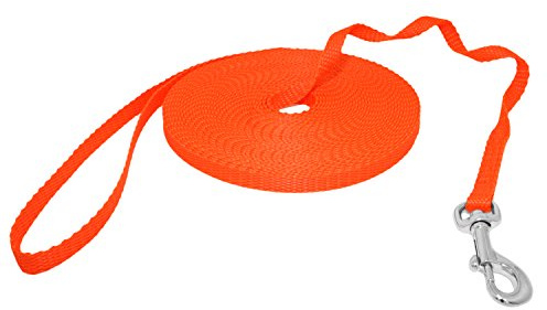 Hunde Design Mini Schleppleine Feldleine Ausbildungsleine Suchleine (50m, Orange)