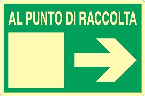GLOBAL CARTELLO SEGNALETICO LUMINESCENTE - AL PUNTO DI RACCOLTA FRECCIA DESTRA - Adesivo Luminescente O Pannello Rigido Luminescente (Adesivo, 20x31 cm)