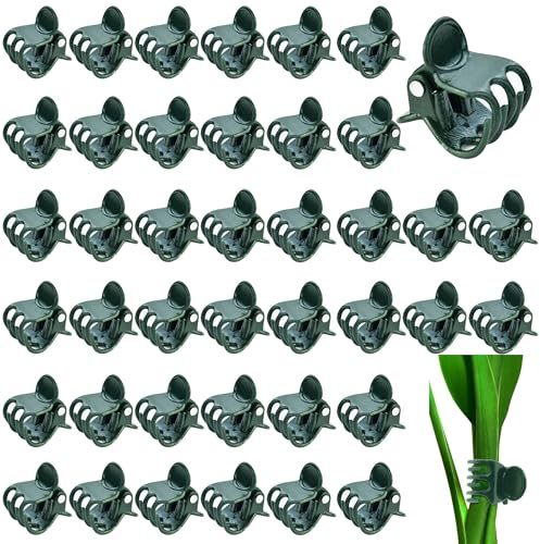 laeeyin 100 Stück pflanzenclips Orchideen Klammern, 1.5 cm Dunkelgrüne pflanzenklammern orchideen klammern Kunststoff Pflanzenklammern für Unterstützen und Halten Pflanze