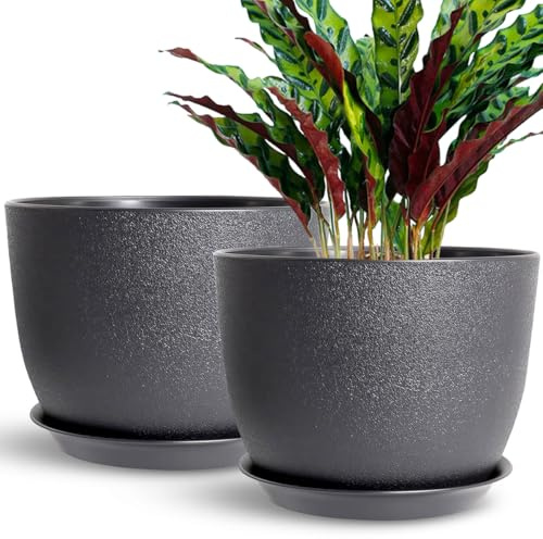 SE SUN-E 30CM Satz von 2 Outdoor Blumentöpfe, Pflanztöpfe mit Untersetzer, Garten Zimmerpflanzen Pflanzgefäße mit Drainageloch Pflanztöpfe Zimmerpflanzen Schwarz Farbe Kunststoff