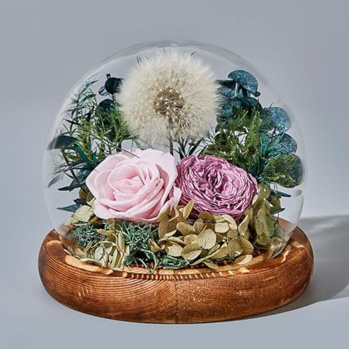 ZJYIGOWL Fiori Stabilizzati in Vetro Rosa Eterna in Campana di Vetro con Confezione Regalo per Mamma, Nonna, Moglie, Sorella, Amica, Compleanno, Festa della Mamma(Purple)