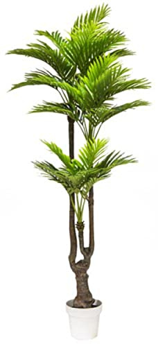 VEA SRL Planta G. Palma Real Touch 175 cm 57963
