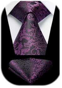 HISDERN Krawatten für Herren Hochzeit Krawatte mit Einstecktuch Paisley Formelle Klassische Herrenkrawatte und Taschentuch Set für Männer