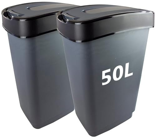LIVINJA Lot de 2 poubelles avec couvercle basculant - 50 l - 56 x 29 x 39 cm - Couleur : gris/argenté - Fabriqué dans l'UE