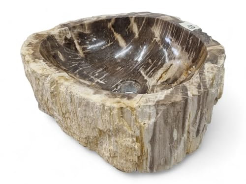 Lavabo en bois pétrifié - Vasque en pierre naturelle - Bois fossile avec des veines uniques et une variété de couleurs - Chaque pièce est absolument unique (#19)