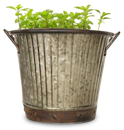 Headwind Countryside Collection - Aged Mocha Brown 8 Inch Galvanized Bucket Washboard Planter with Handles by Robert Allen