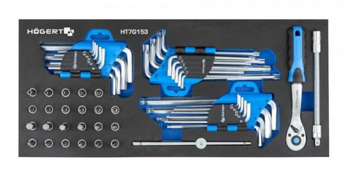 HÖGERT TECHNIK: Werkzeug Satz, Sechskantschlüssel, Werkzeugschrank-Einsatz mit einem Satz Innensechskant und Steckschlüsseln mit 1/4“ Zubehör