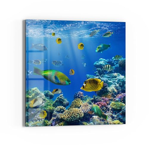 DEQORI Glas-Magnettafel | 30x30 cm cm groß | Motiv Unterwasserwelten | Memo-Board aus Glas | Magnetboard inkl. Magnete, Stift & Tuch für Küche & Büro | Tafel magnetisch & beschreibbar