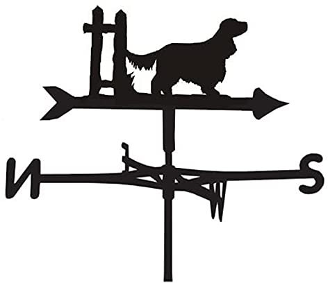 Girouette en métal pour montage sur le toit, indicateur de direction du vent créatif, girouette soufflée par le vent pour l'extérieur, la ferme, la cour, le jardin, outils de mesure faciles à ass