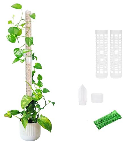 YANGWEN 2 Stück 17cm Pflanzstab,Rankhilfe Zimmerpflanzen mit 20 Pflanzenbändern, Krawatten Schnittstelle Erdungsstecker, für Gartenbepflanzung Efeutute Pflanzenunterstützung