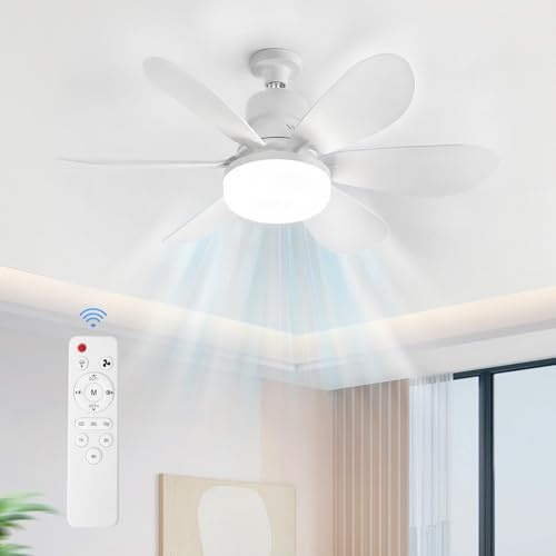 ACICILI Plafoniera con Ventilatore, Ventilatore da Soffitto con Illuminazione e Telecomando, Piccolo Ventilatore Silenzioso con 3 Livelli di Vento,Timer 1/2/4H, Funzione di Memoria
