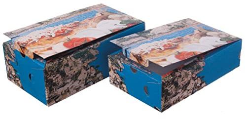 Pro DP 100 Pizza Calzone Kartons Calzoneboxen Calzonekartons Pizzakartons L 30x16x10cm mit Neutralmotiv Mittelmeerküste