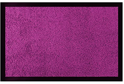 Acomoda Textil - Felpudo de Entrada Absorbente Rectangular para Interior y Exterior. Felpudo Antileslizante para Hogar y Oficina de Fácil Limpieza. (Morado, 60x80 cm)