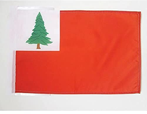 AZ FLAG Bandera Nueva Inglaterra 45x30 cm Poliéster 100D Cuerdas | Uso interior y exterior Enseña americana costuras dobles y bordes reforzados