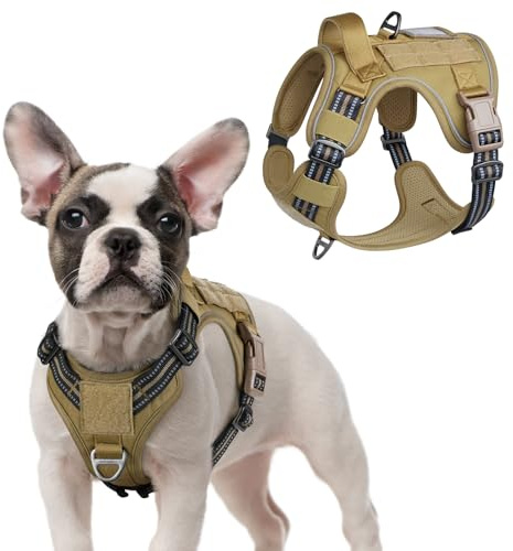 rabbitgoo Hundegeschirr Kleine Hunde Anti-Zug, S, Braun | MOLLE-System, Heavy Duty, Sicherheitsschnallen, Weiche Polsterung, 2 D-Ringe, Reflektierend für Taktisches Hundetraining