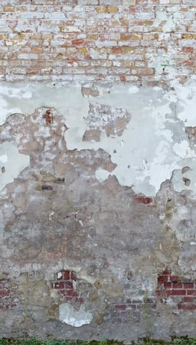 livingwalls Stein-Fototapete – Braun, Grau – Wandbild XXL 2,80 x 1,59 m | Natürliche Steinoptik als Akzentwand – matte Strukturtapete, ansatzfrei & spurlos abziehbar – für Wohnzimmer & Flur