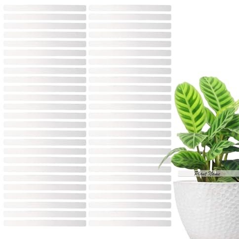Lot de 50 étiquettes en acrylique transparent pour plantes, étiquettes d'identification de sol vierges en acrylique pour jardin, étiquettes d'identification